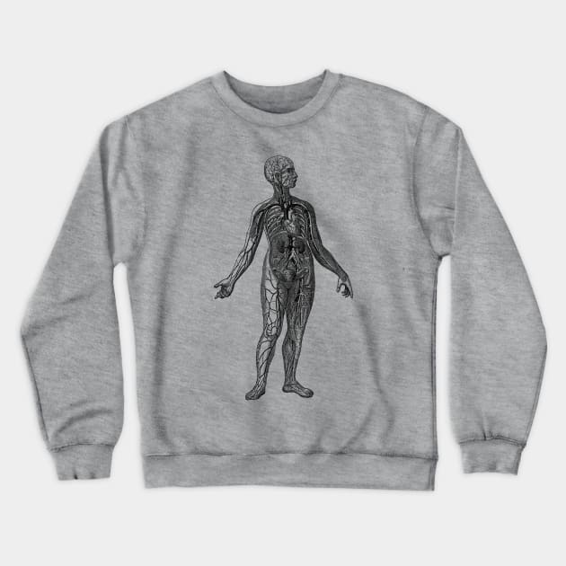 Human Vascular System Diagram Crewneck Sweatshirt by Vintage Anatomy Prints